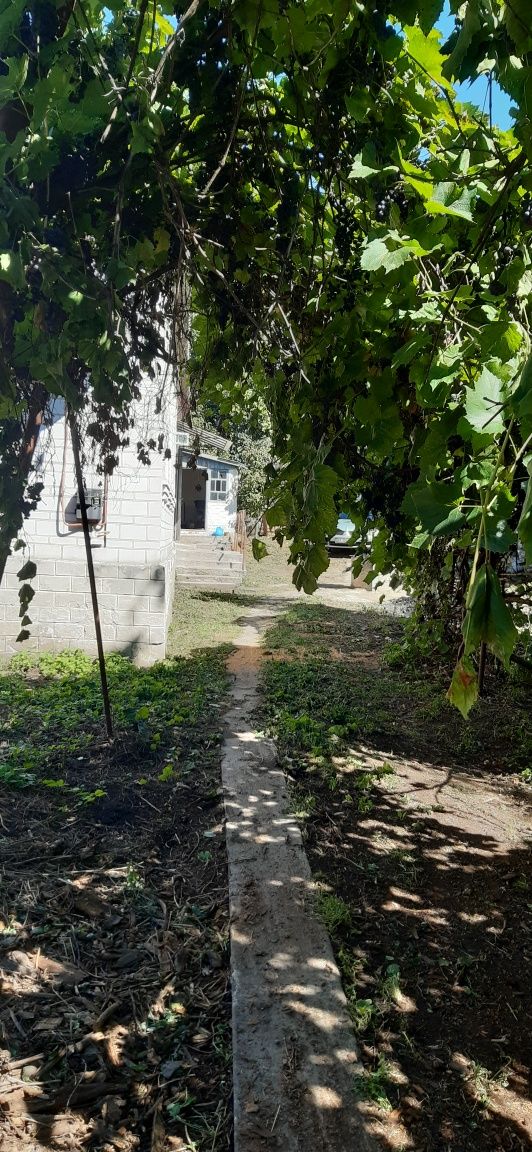 Продам будинок в місті Богуслав