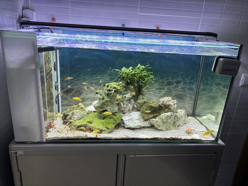 Aquario com sump interna