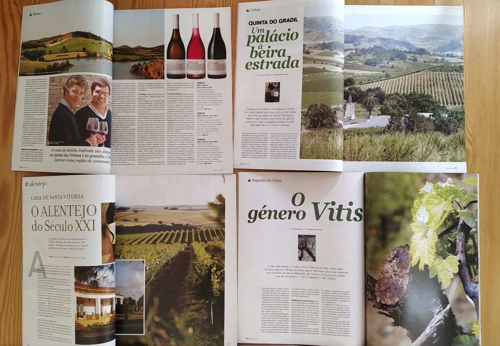 Urgente-Revistas de vinhos para coleccionadores-impecáveis (35unid.)