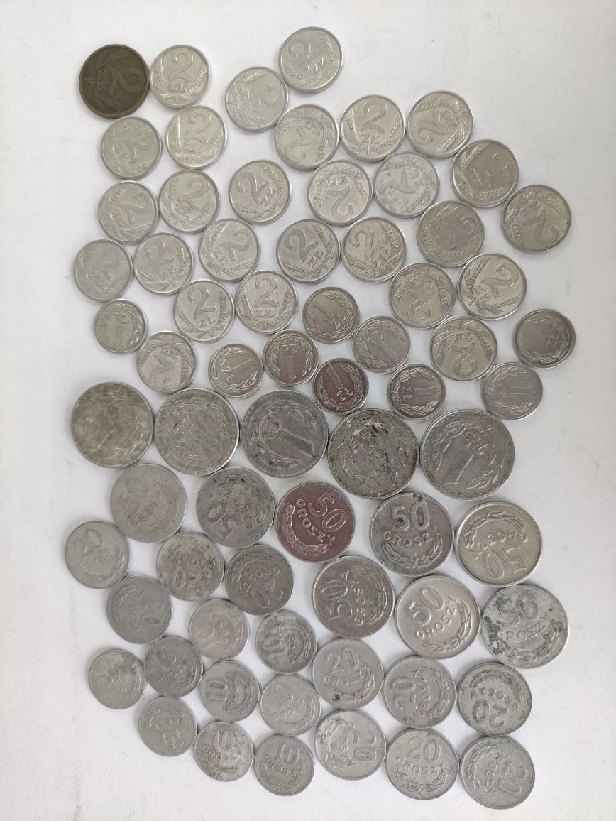 Zestaw polskich starych monet