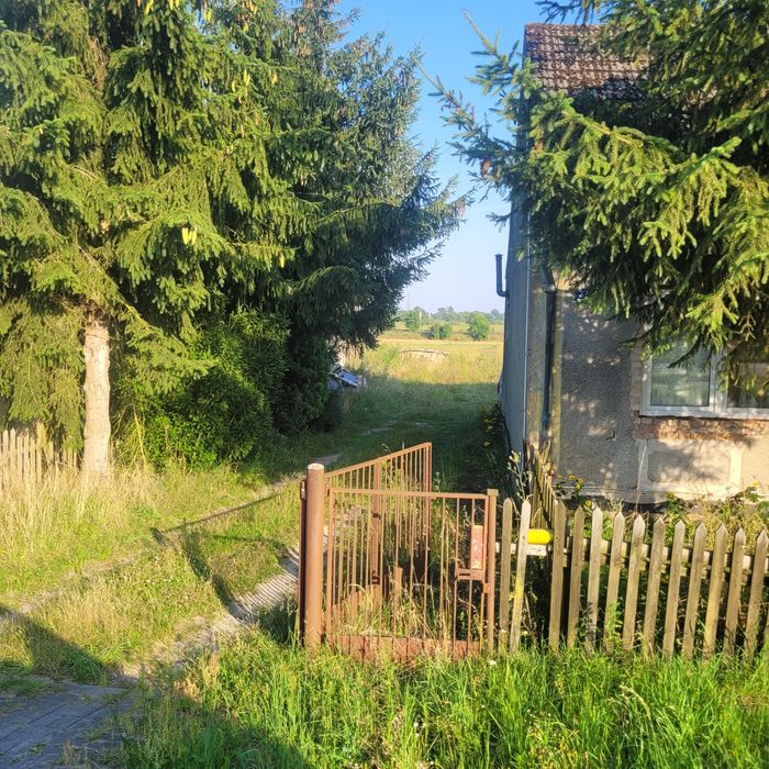Dom wolnostojacy ok 100m2 działka 22ary Motylewo
