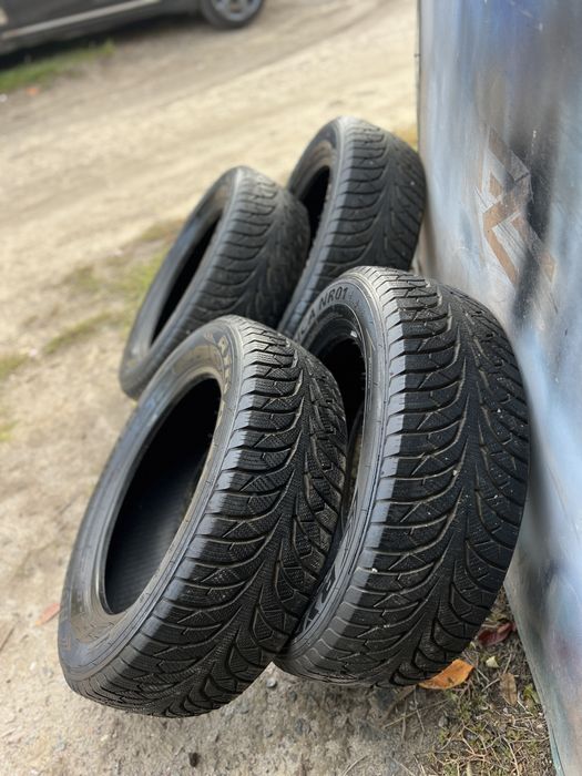 Rydanz Nordica NR01 225/60 R18 стан нової