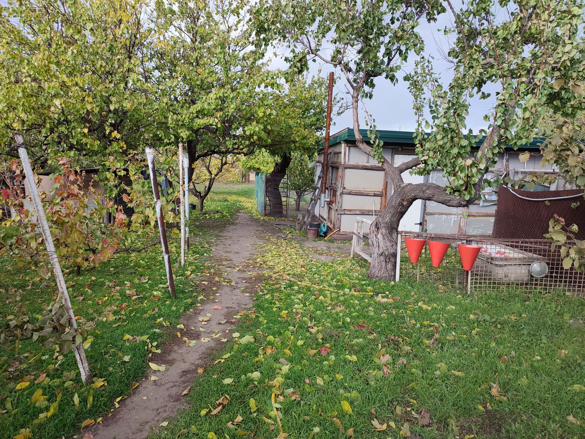 Продам будинок, Кушугум.