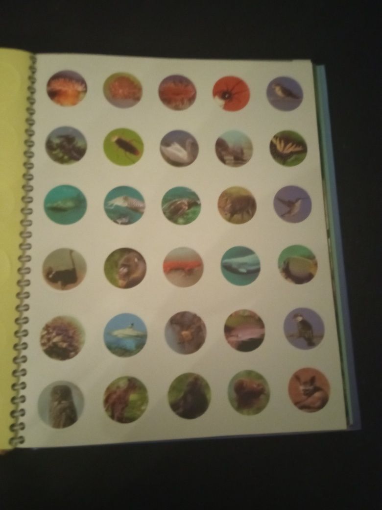 Livro" O Mundo Animal" Usado