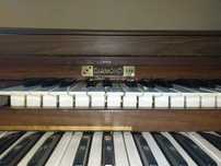 Órgão Musical Diamond 711