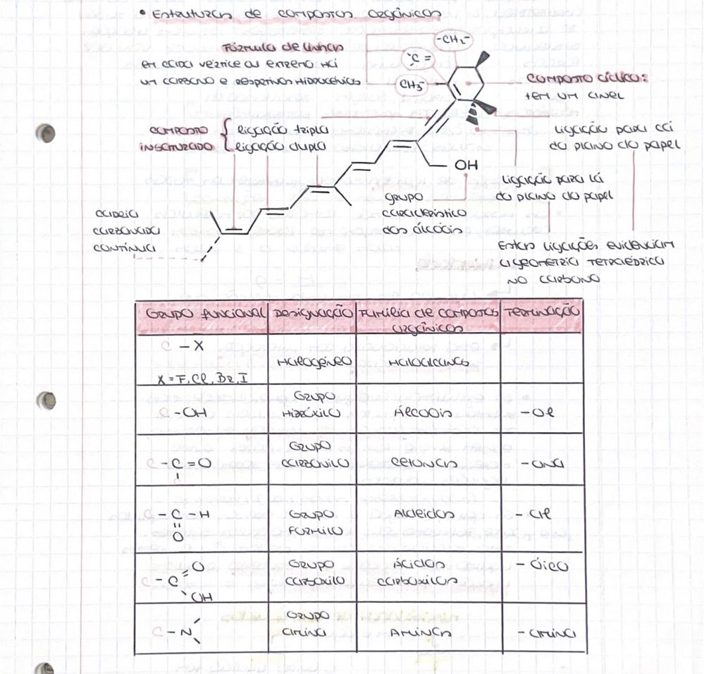 Apontamentos Exame Nacional Física e Química