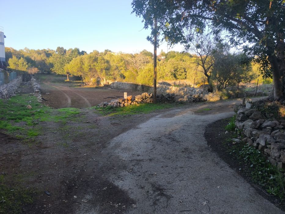 Terreno rústico em São Brás