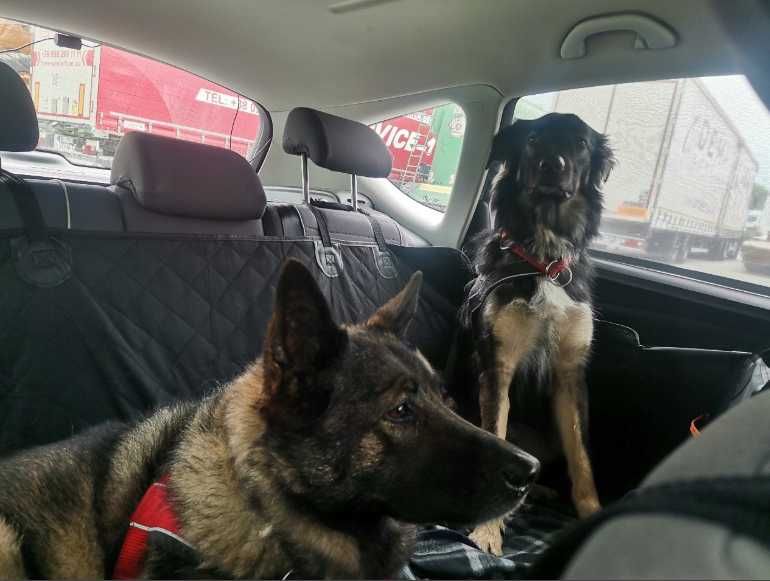 Накидка чохол на заднє сидіння авто для перевезення тварин автогамак