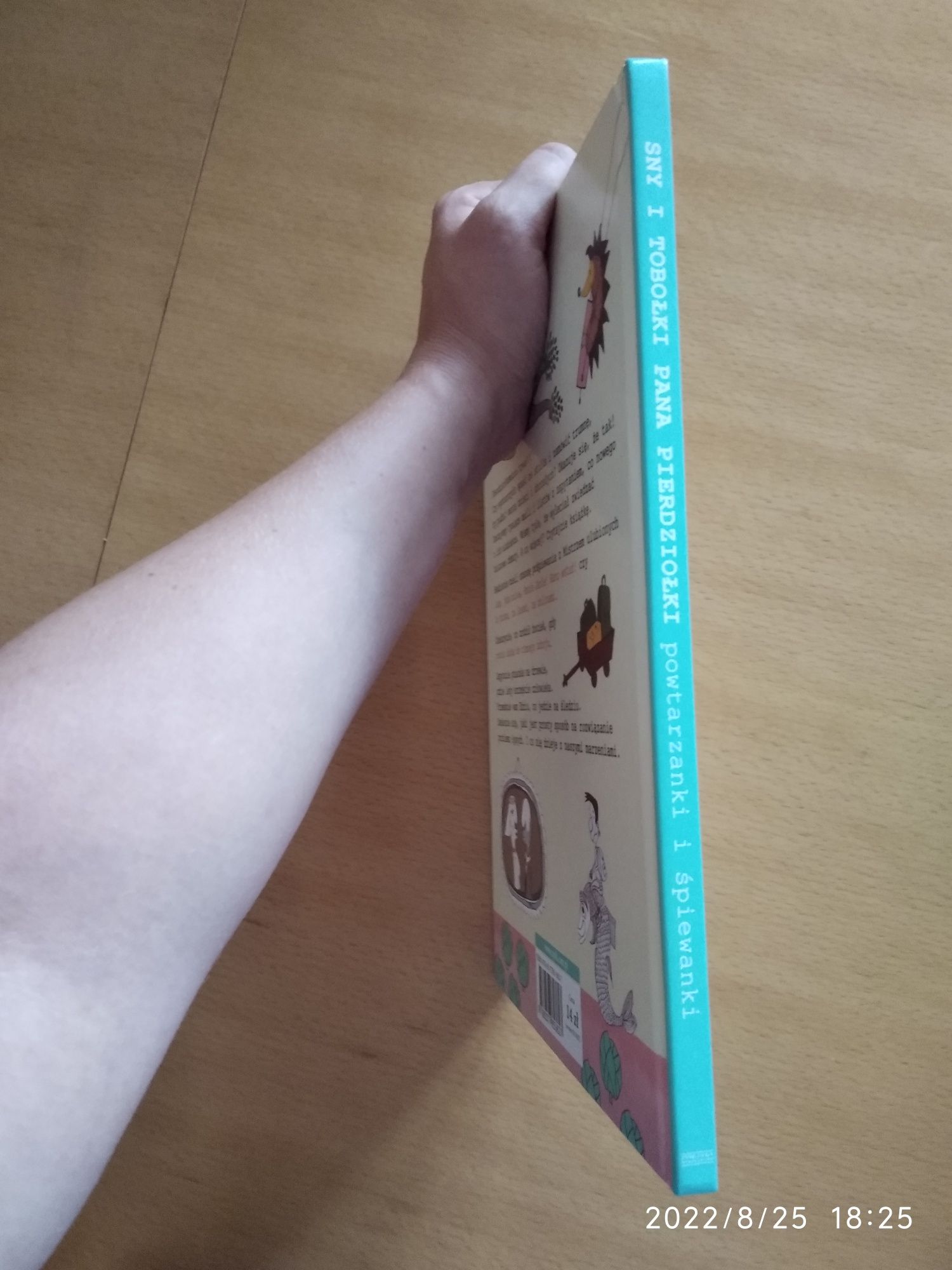Książka Sny i Tobołki pana Pierdziołki stan bardzo dobry