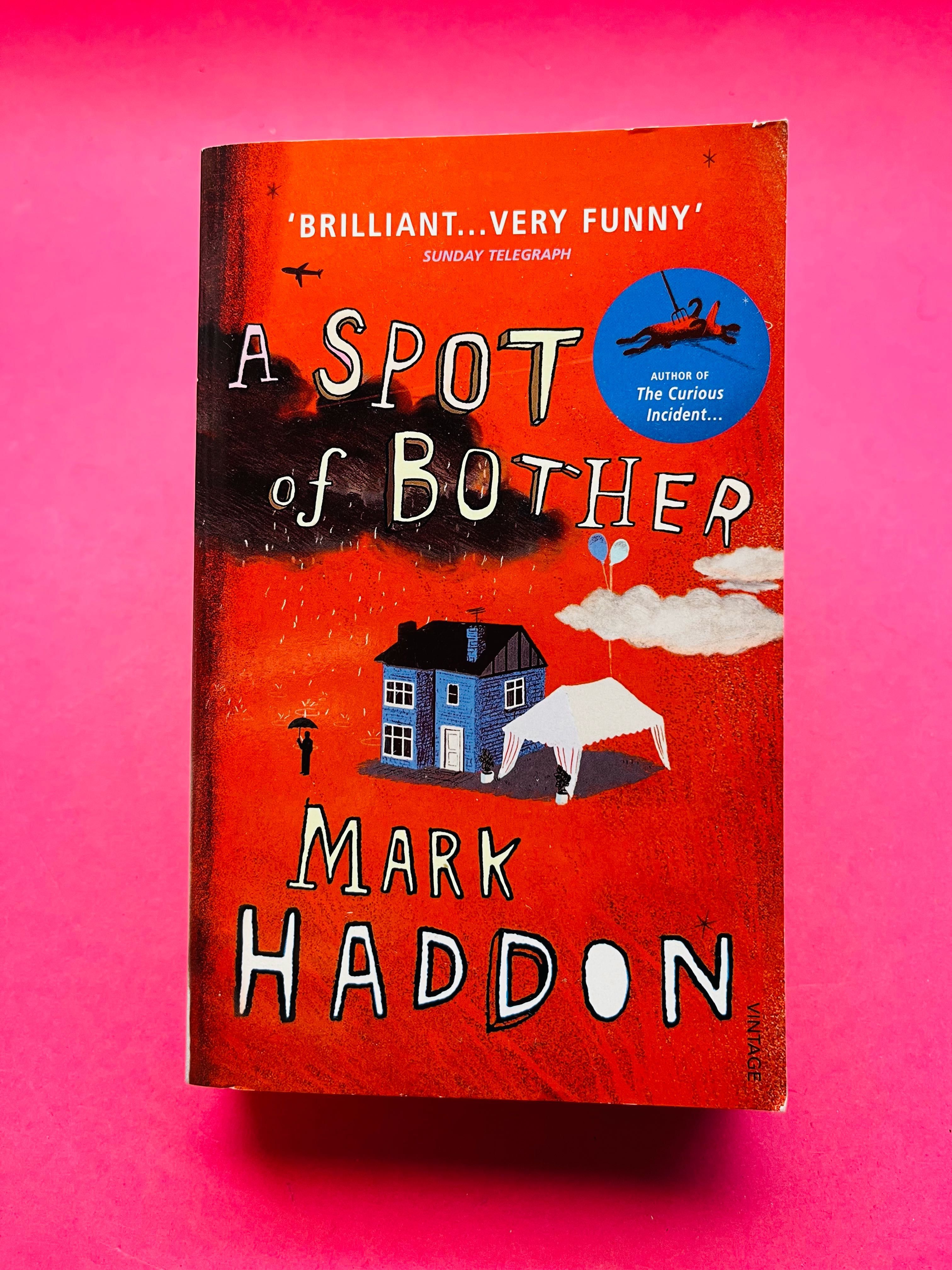 A Spot of Brother - Mark Haddon