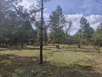 Działka Budowlana 1500m² Łączkowice Przedbórz
