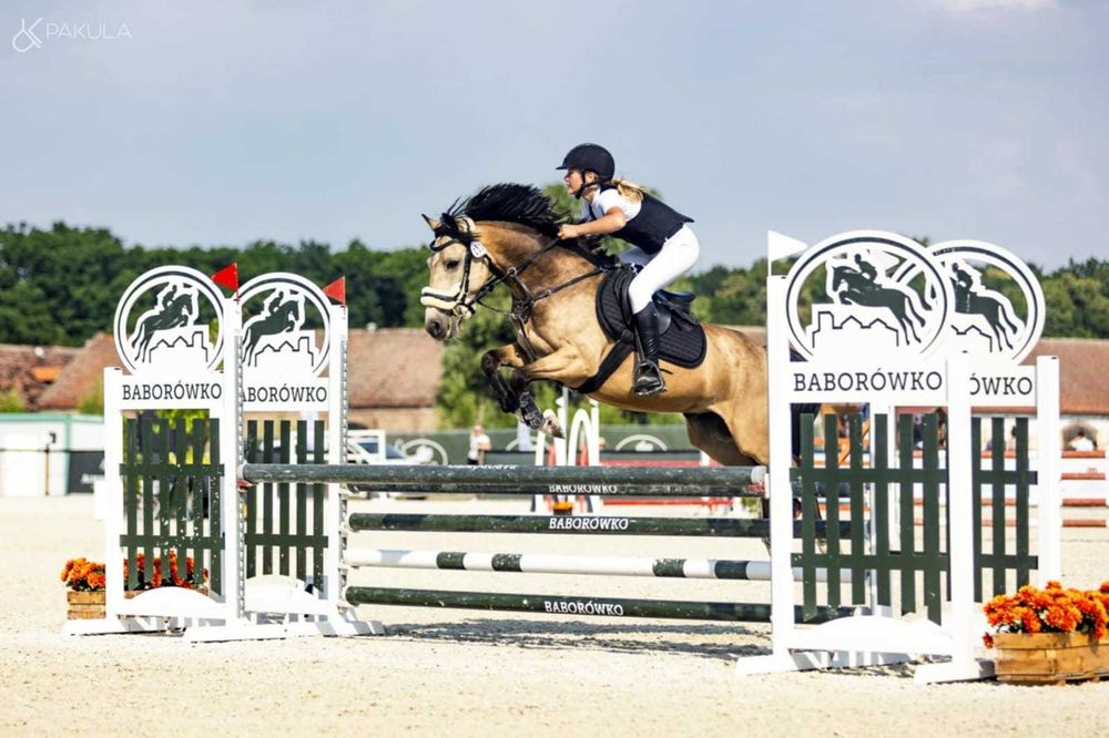 Kuc z dużym sercem do swojego dziecka jak i do pracy