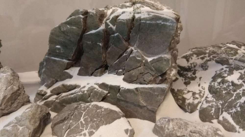 Aranzacja iwagumi unikalny kamien