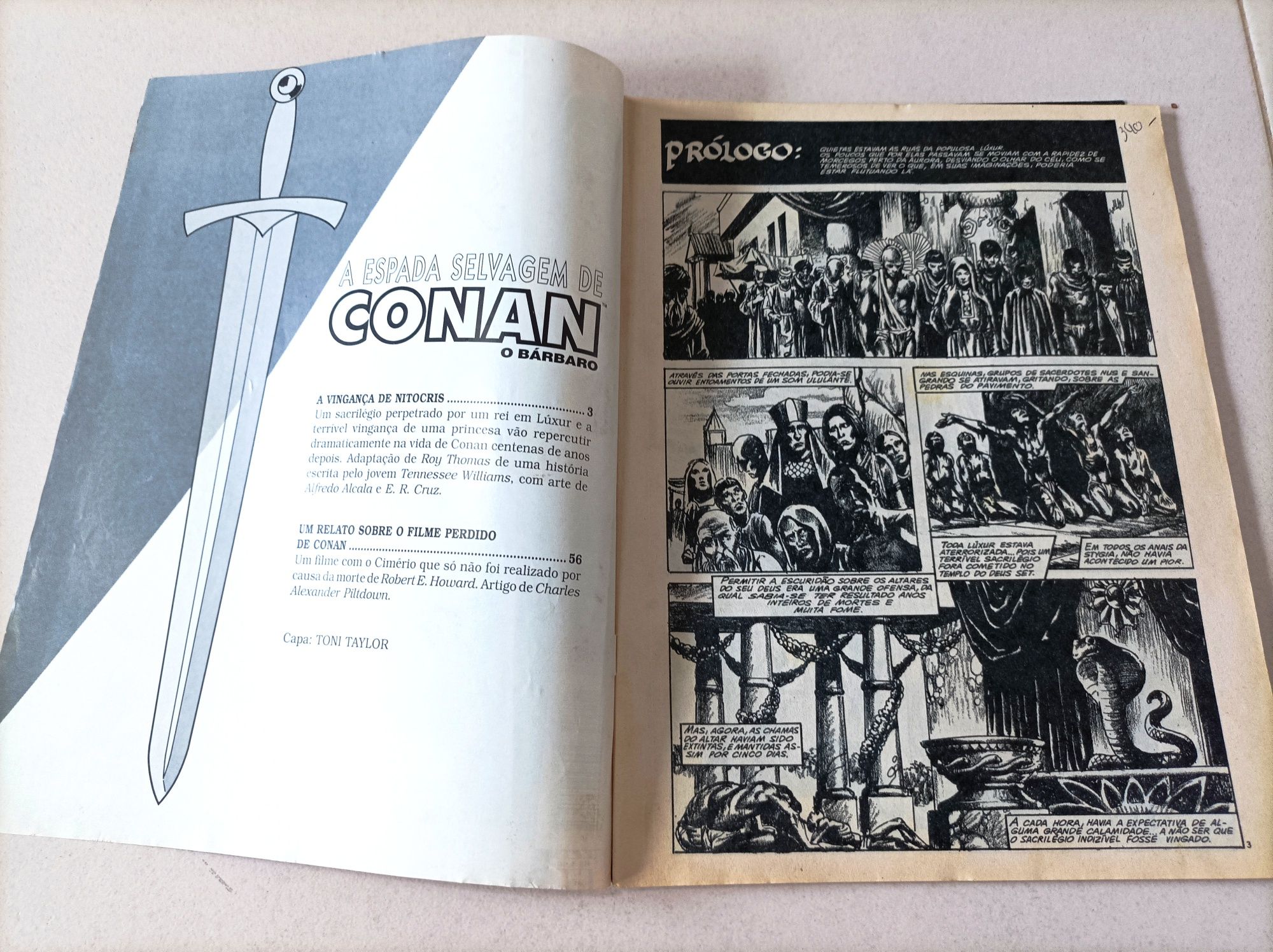 Lote de 3 Revistas antigas - A Espada Selvagem de Conan (Vintage)