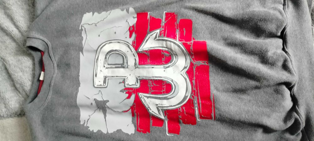 Bluza Polska Walczaca