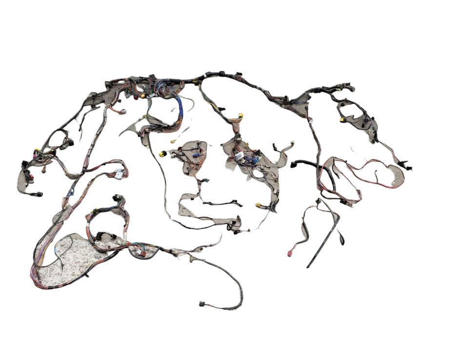 Электро проводка кузова  джвигателя в сборе (под разборка