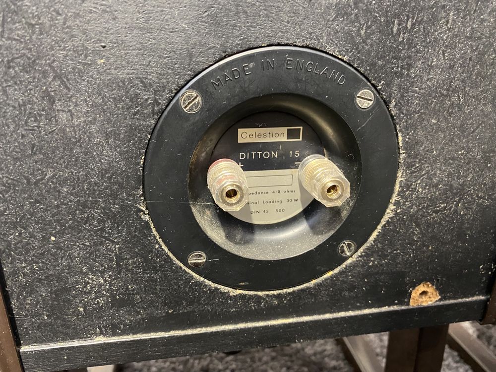Celestion Ditton 15