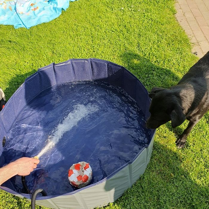 Basen Dla Psa Zwierząt Duży Składany Ogrodowy Do Ochłody Mycia Xxl 100