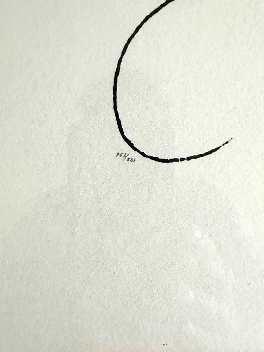 Litografia Picasso Kogut