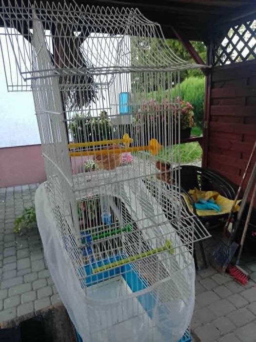 klatka duża dla papużek falistych