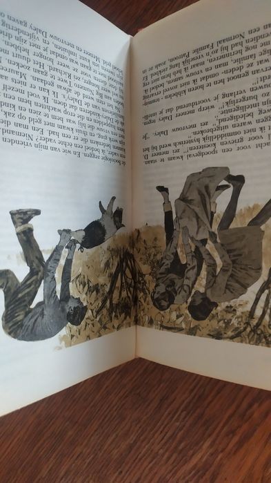 Książki po holendersku.