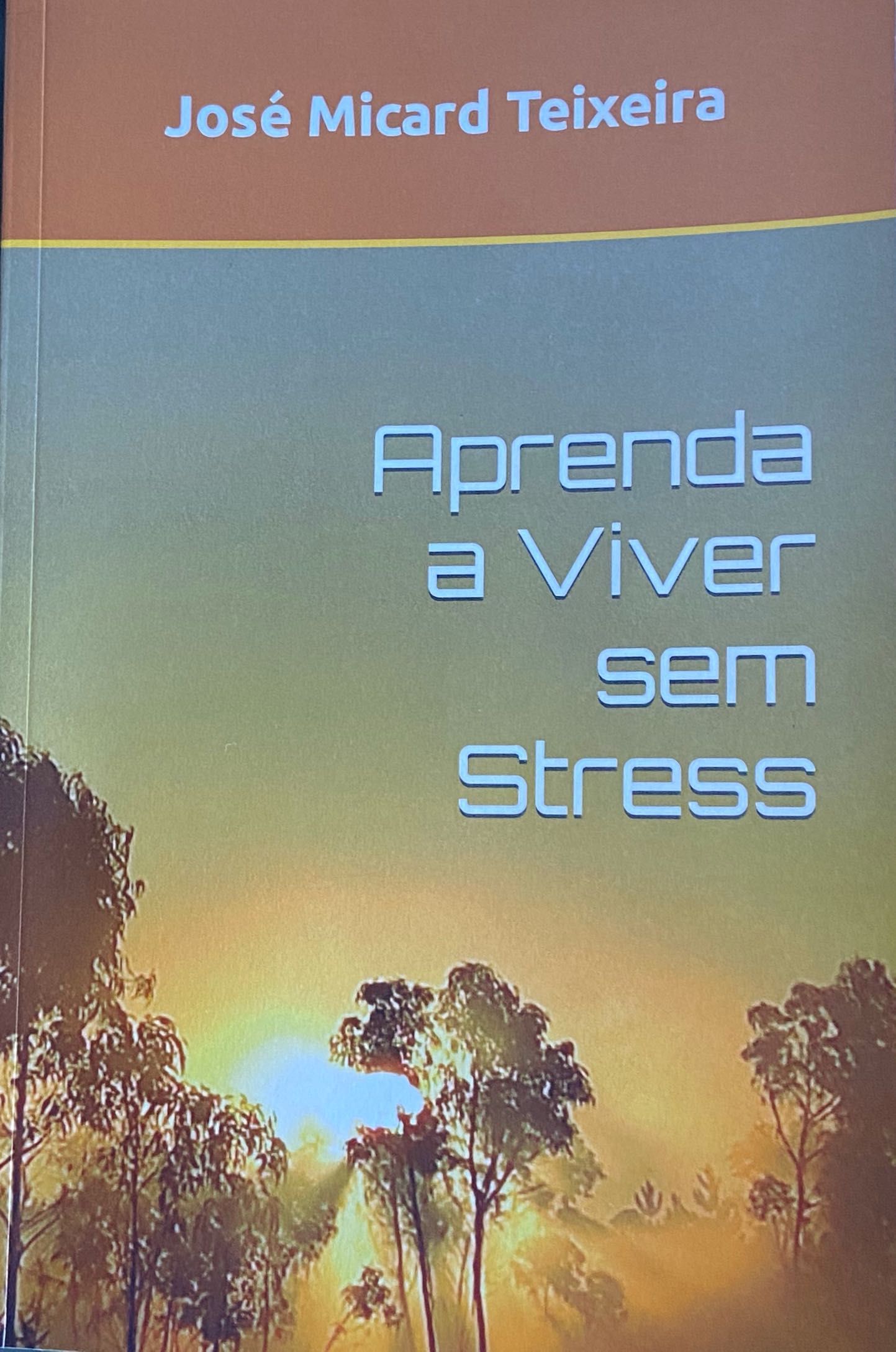 Livro "Aprenda a Viver sem Stress"