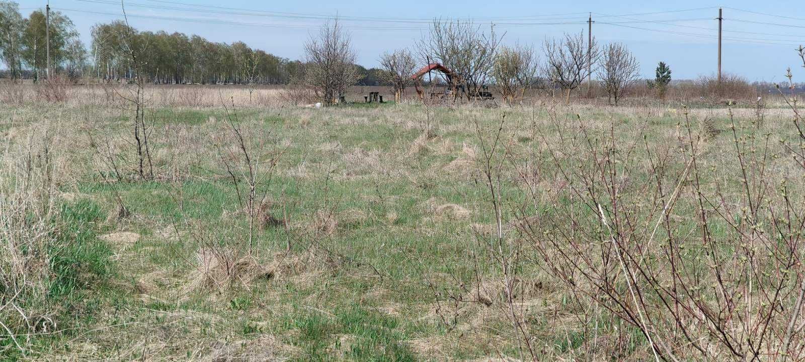 (7) Продам земельну ділянку смт. Турбів 1129