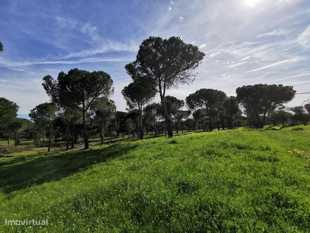 Terreno com 8.5 hectares casa para reconstruir