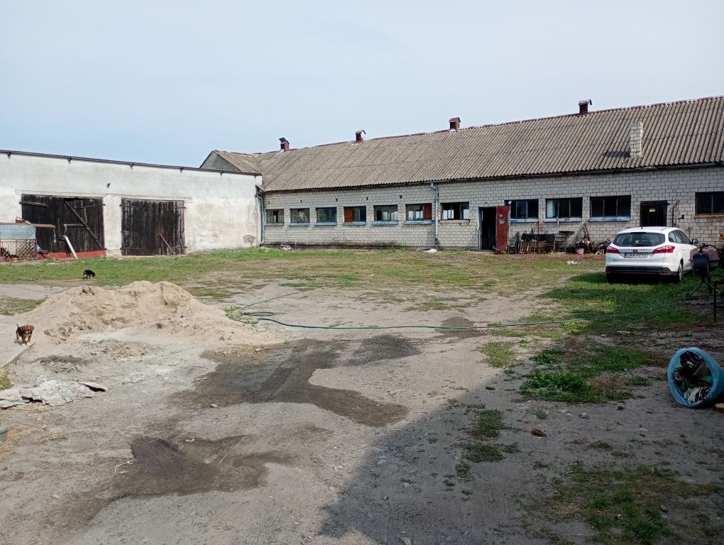Wynajmę budynki 500metro² woda prąd