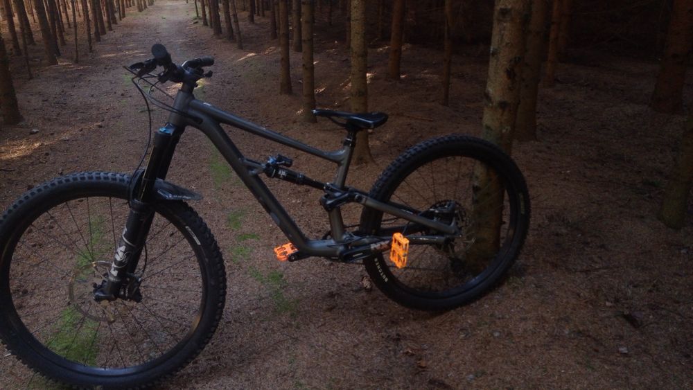 Specialized Status S2
