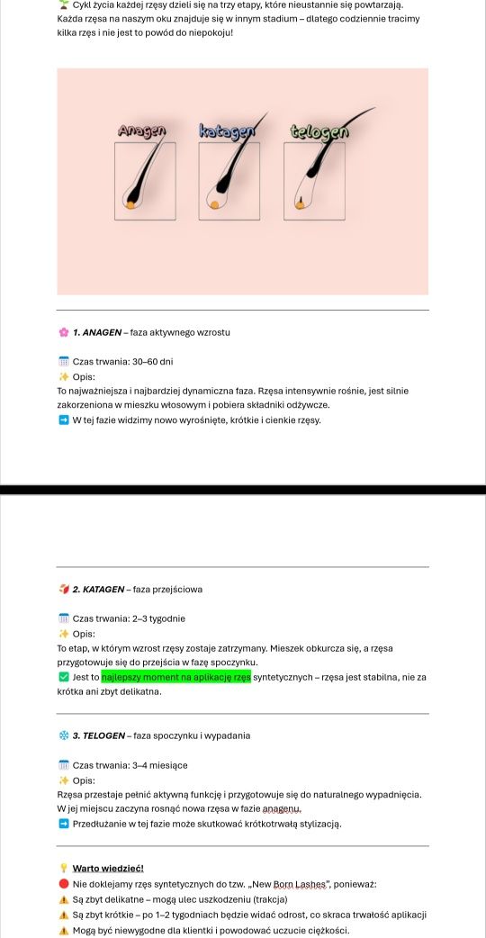 Teoria Stylizacja rzęs gratis testy 1:1 pdf dla początkujących 77 stro
