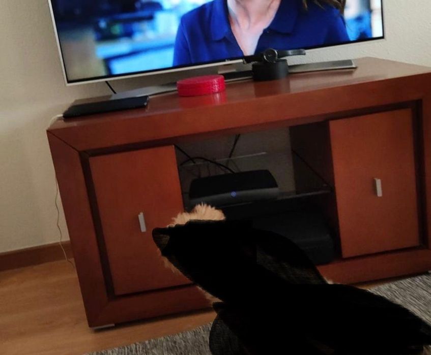 Sala completa em madeira de cerejeira - Mesa vidro, aparador, sofá e +