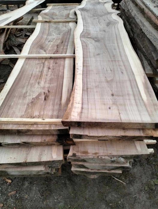 Tarcica dąb jesion wiąz olcha