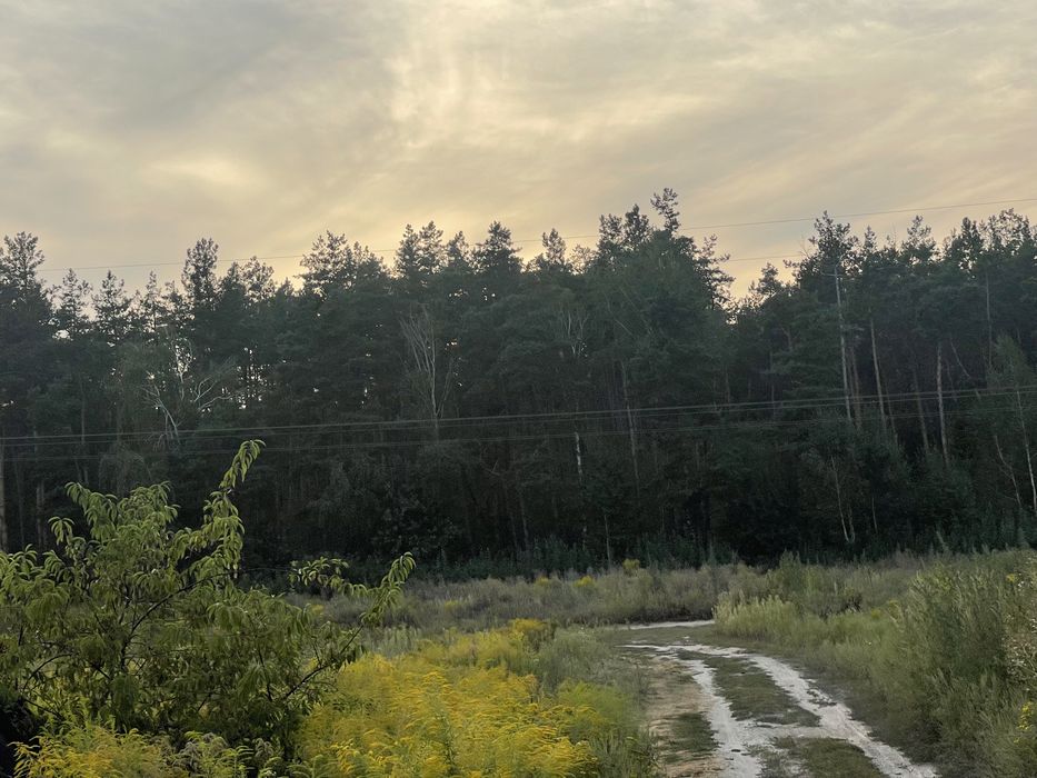 ЩАСЛИВЕ Продається Пейзажна Ділянка 15 соток вул. Соснова 70000$