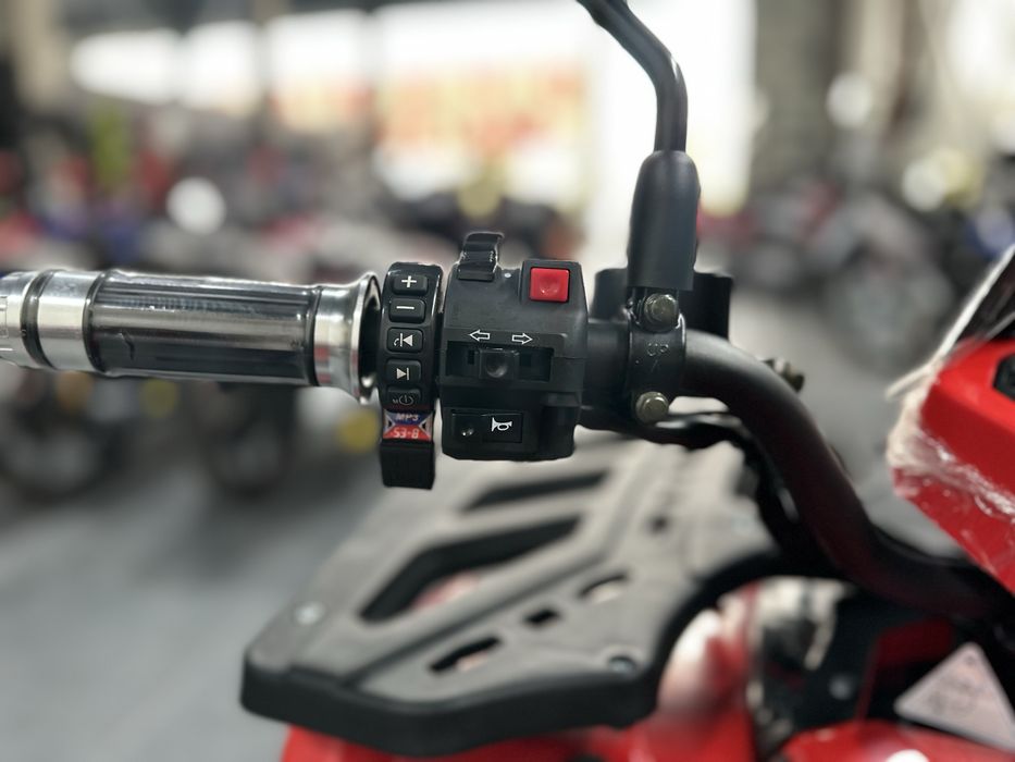 Електроквадроцикл FORTE FFD1500W