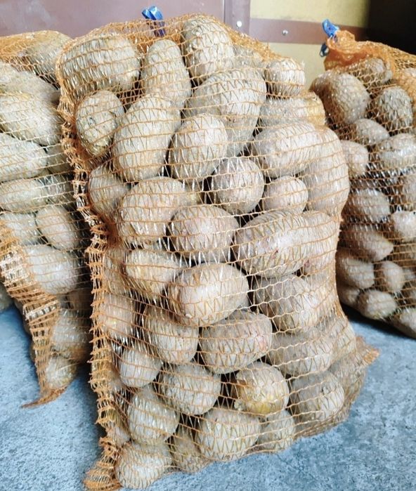 Ziemniaki 15 kg Lili Lilly, Red sonia