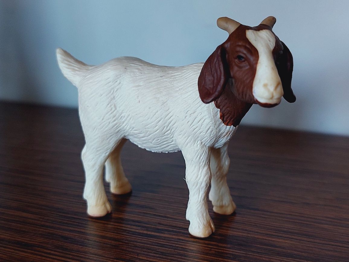 Koza Burska schleich