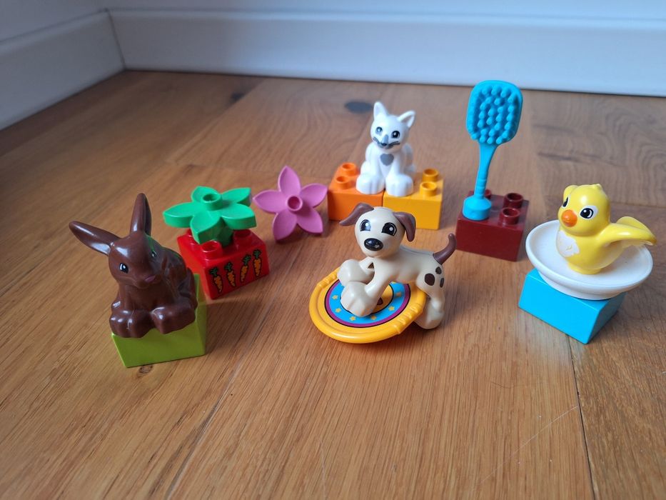 LEGO Duplo Zwierzątka domowe 10838 Zwierzęta domowe