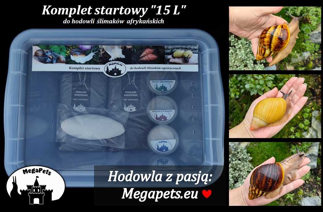 Komplet startowy 15L do hodowli ślimaków Achatina Lissachatina