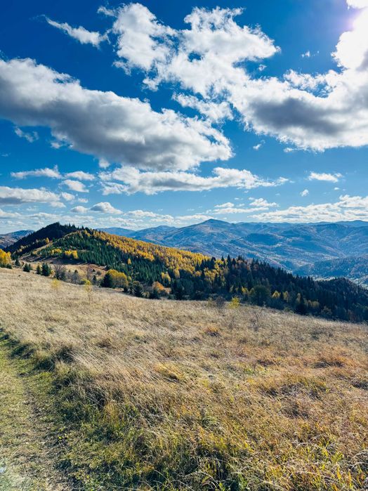 Продаж ділянки, Верхній Ясенів, 100 сот.гори (під будівництво).Є ВІДЕО