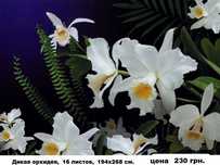 ФОТООБОИ больших размеров. Обои. Фотошпалери.ов