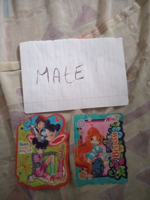Kartki do segregatora winx