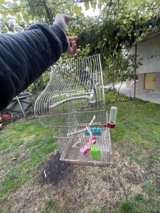 Клетка для попугаев