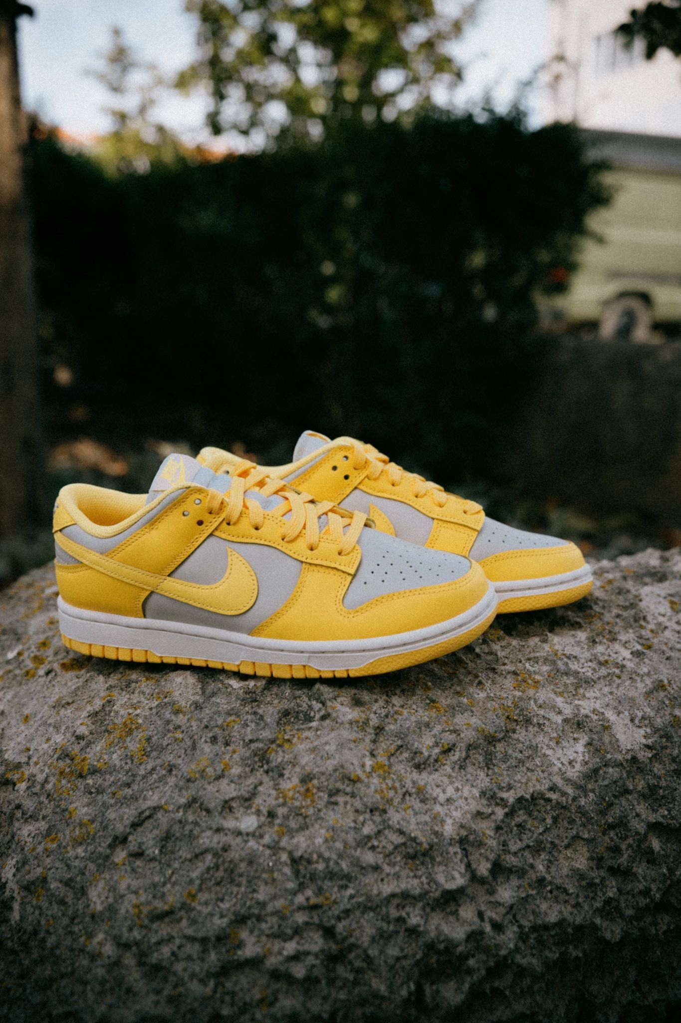 Nike Dunk Low “Citron Pulse” 40