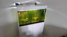 Akwarium Aquael Glossy 120 kpl