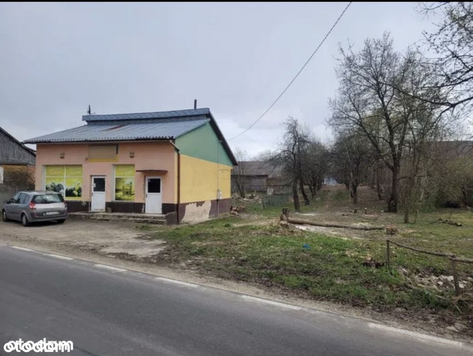 Dom wolnostojący Natalin