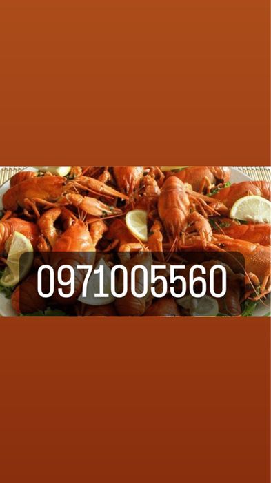 Раки Ракі живі Рівне варені