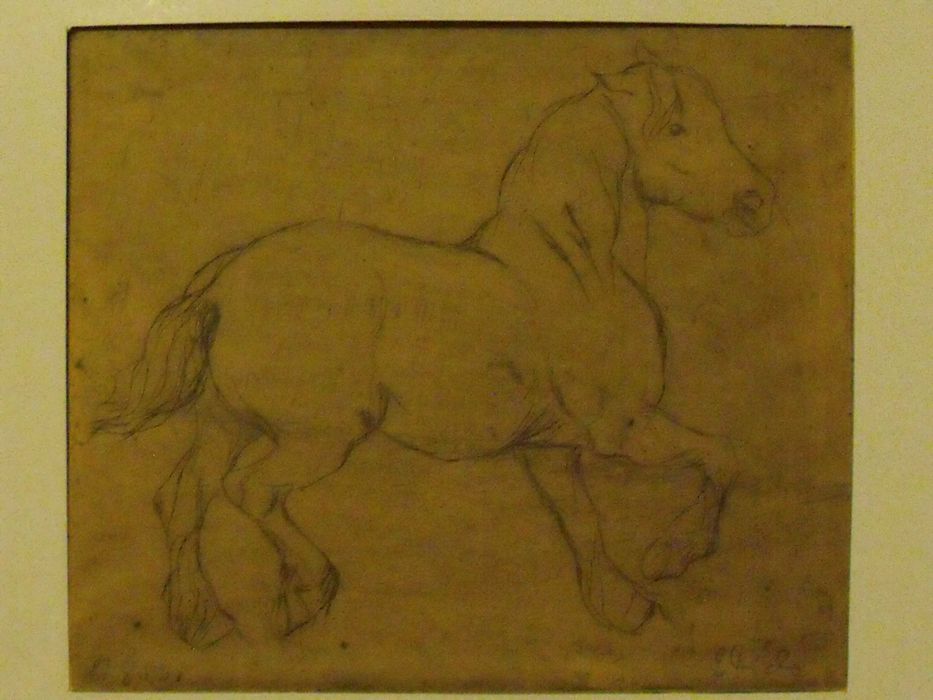 Elżbieta Fido Koń idący stępa sucha igła 1959