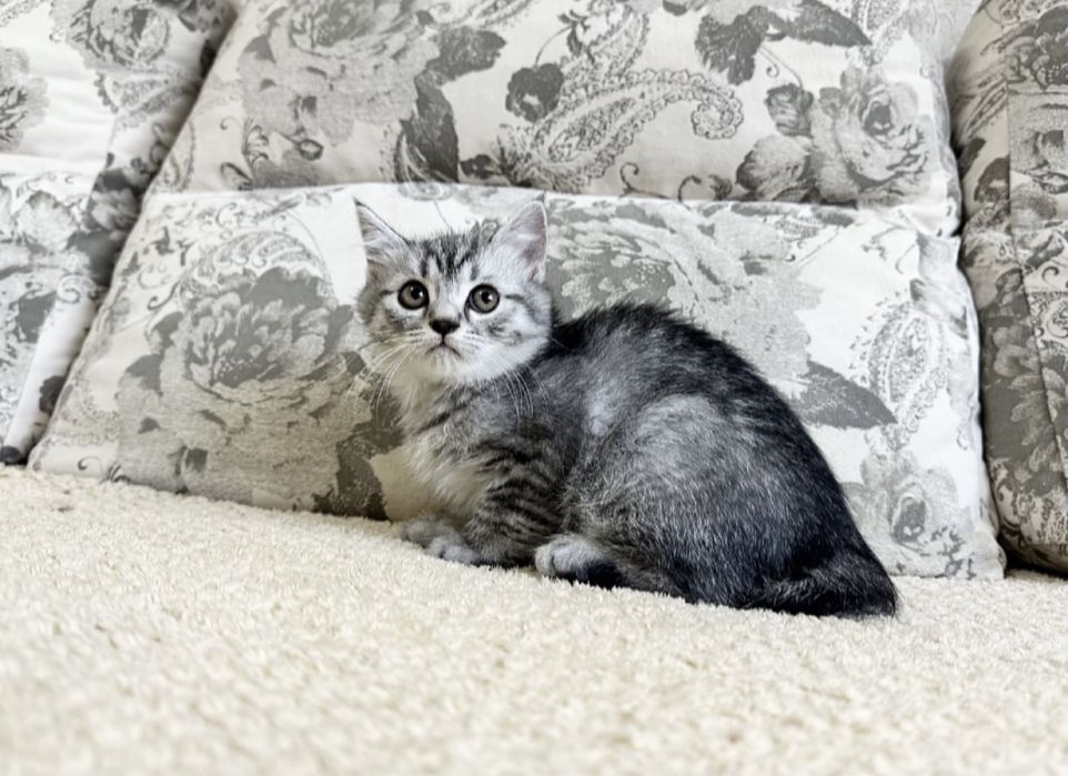 Мечты должны сбываться!