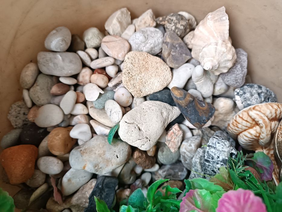 Продам аквариум со всеми атрибутами